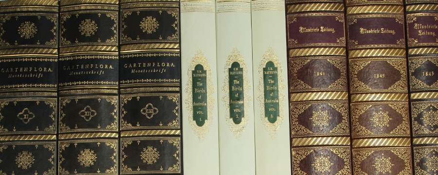 Buchrücken Leder Dekor-Paneele Buch Optik