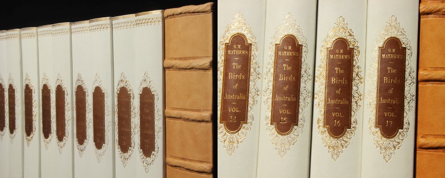 Buchrücken Leder Dekor-Paneele Buch Optik